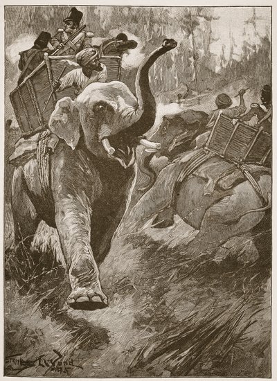 The Frightened Elephants Rushed Back Crashing Through the Forest, Illustration from 